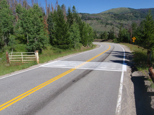 Freshly Painted Road Grid.